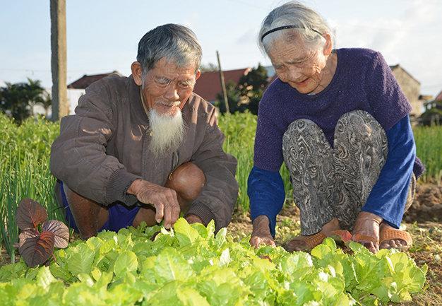 Green House Homestay Hoi An Dış mekan fotoğraf
