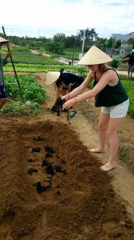 Green House Homestay Hoi An Dış mekan fotoğraf